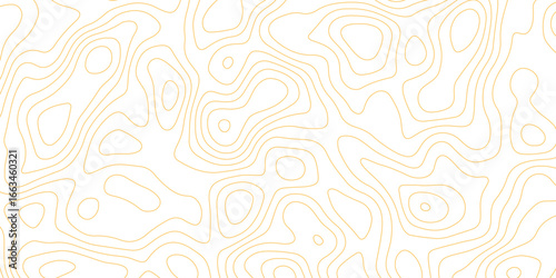 Topographic map background with geographic grid for hiking and mountain sport. luxury topographic wavy pattern and geographic grid map design. paper texture Imitation of a geographical map shades.