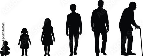 Silhouettes of human life stages from baby to elderly man with cane vector illustration