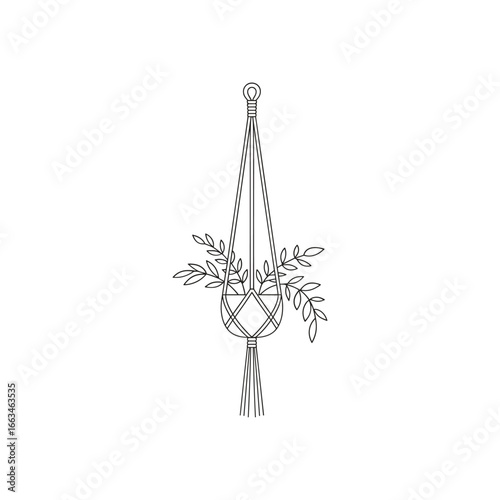Hand drawn macrame plant hanger with greenery elegant bohemian home decor line art detail white background