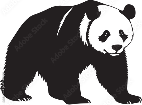 Panda Sniffing Body slightly hunched, with nose extended forward, sniffing the air or surroundings. full length silhouette black vector illustration