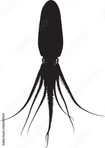 A silhouette of a squid with its body stretched out, tentacles fanned and fins raised to appear larger to potential predators. Full-length silhouette black vector illustration.