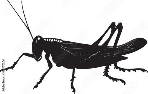 Grasshopper in Crawling Motion body positioned low to the ground with legs extended, moving in a rhythmic pattern. Full-length silhouette black vector design.