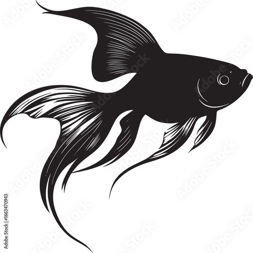 Goldfish Swimming Body streamlined with fins extended and tail gently swaying through the water. full length silhouette black vector illustration