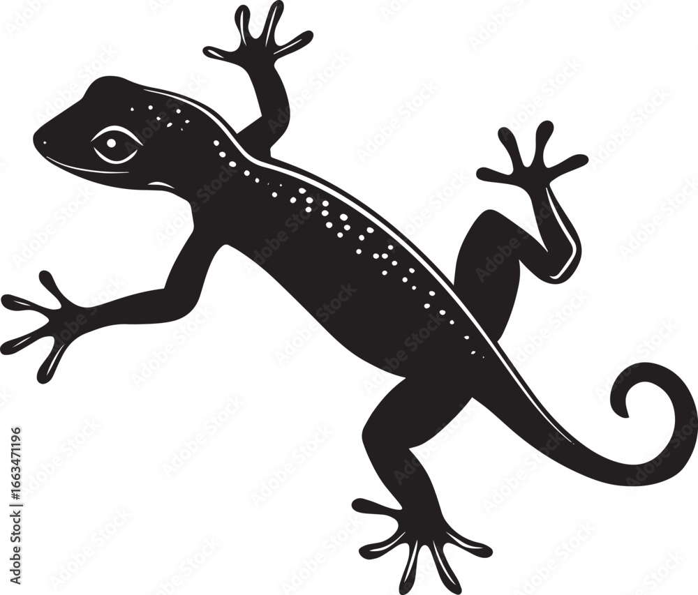 Naklejka premium Gecko Hunting Body low to the ground head extended forward eyes focused on prey. full length silhouette black vector illustration