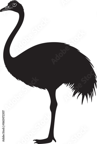 Ostrich Sitting Legs tucked under body neck curved slightly tail resting. full length silhouette black vector illustration