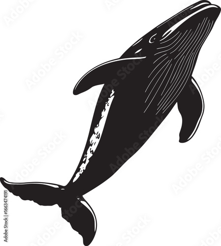 Whale Vocalizing Body mid-water, mouth open, air blowing, full silhouette design.