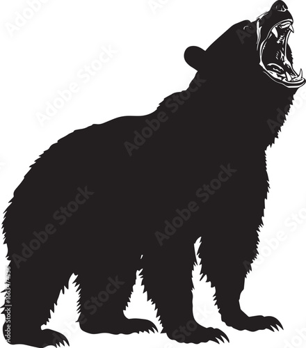 Bear Roaring Mouth open, head tilted back, body tense. full length silhouette black vector illustration