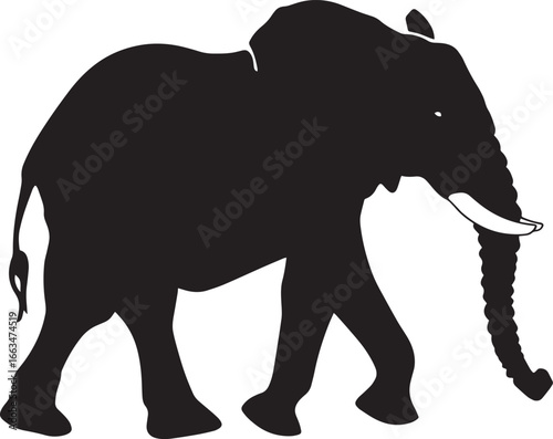 Elephant Walking One leg lifted in mid-step, trunk extended forward, ears flared out. full length silhouette black vector illustration