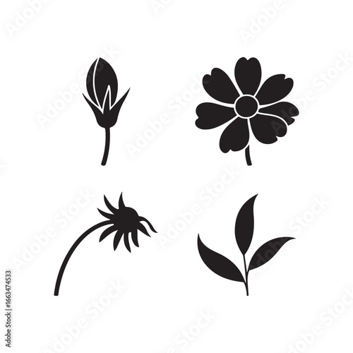 Four stylized black silhouette floral elements including a bud bloom drooping flower and leaves silhouette
