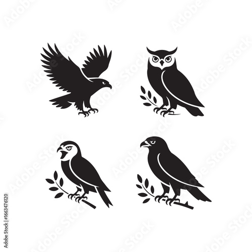 Four majestic birds of prey in silhouette including an eagle and owls perched on branches silhouette