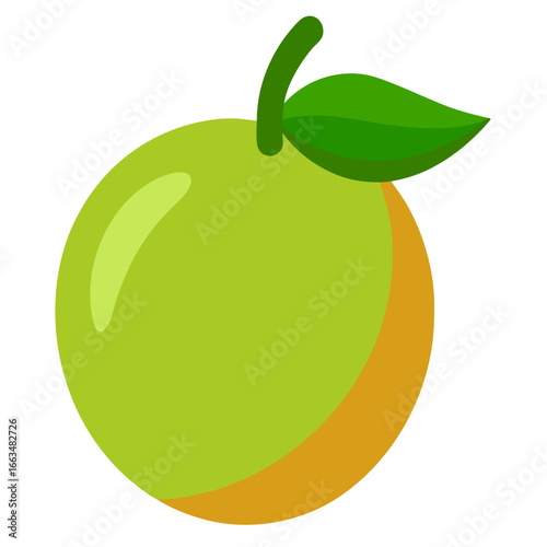 vector illustration of an abiu fruit