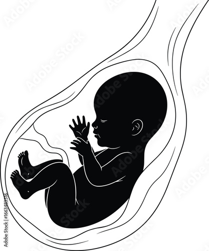 Fetus silhouette inside womb, prenatal development concept, human embryo anatomy, pregnancy medical illustration, reproductive health vector, isolated black design