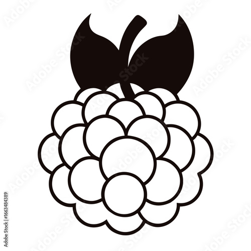 black and white cloudberry fruit
