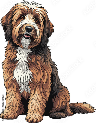 Barbet dog sitting cute friendly companion vector illustration