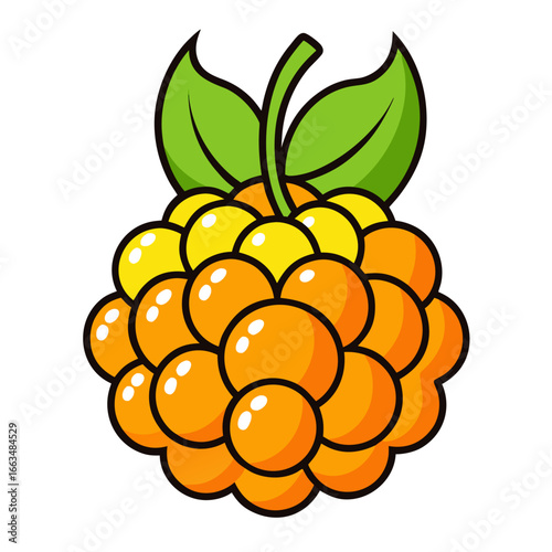 vector illustration of a cloudberry fruit