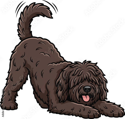 Playful cute Barbet dog in play bow pose vector illustration