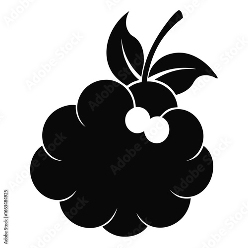 vector illustration of a cloudberry fruit silhouette