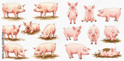 A charming collection of illustrated pink pigs and piglets in various poses like standing, sitting, eating, and playing in mud, isolated on a transparent background.