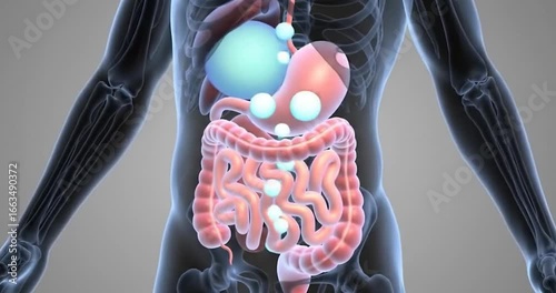 Extreme close-up of a bloated stomach with digestive discomfort