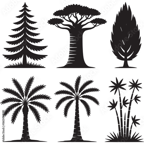 Art of set of black silhouette icons depicting various types of trees and plants, including conifers, deciduous trees, palm trees, and bamboo, isolated on a