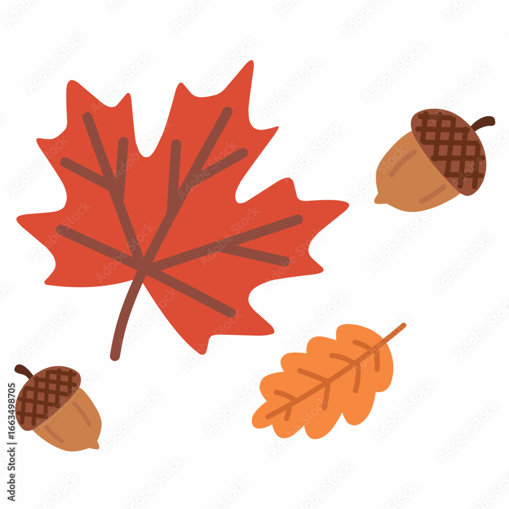 Obraz premium Autumn leaves with acorns in flat style, featuring maple and oak foliage. Perfect for thanksgiving, harvest design, seasonal cards, and fall decoration.