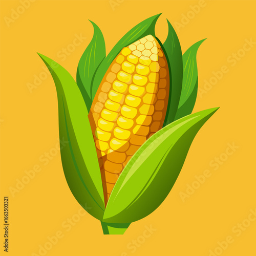 corn on a white background
