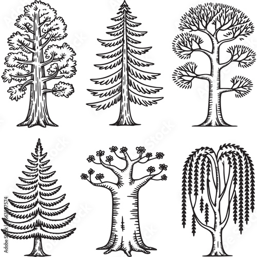 Art of collection of six distinct tree types in a vintage sketch style, showcasing diverse shapes and foliage
