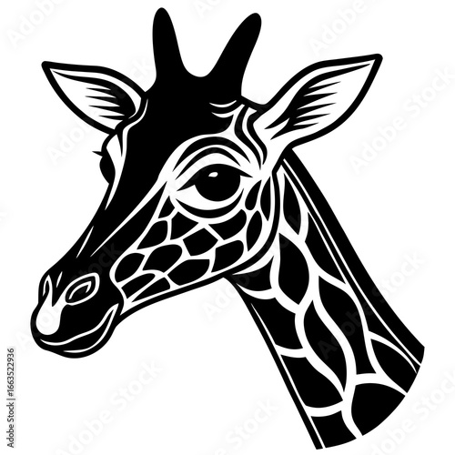 giraffe vector illustration