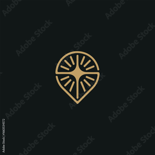 Luxury GPS Pin Star Logo Mark, An elegant, minimalist logo featuring a stylized shining star within a teardrop shape, ideal for luxury, technology, navigation, lifestyle industries, and travel brands