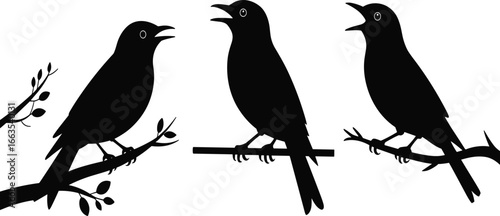 Singing bird silhouettes, perched songbirds on branches, black vector birds, nature illustration, leaf detail, wildlife art, poetic design