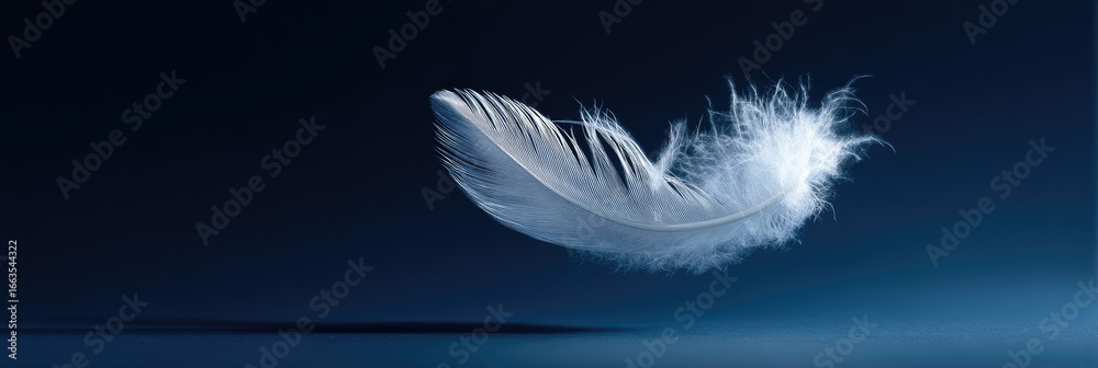 Obraz premium A single, white feather floats against a deep blue backdrop