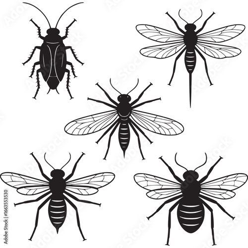 Art of collection of black and white insect silhouettes including a cockroach, dragonfly, bee, wasp, and fly, isolated on a