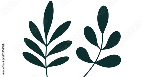 Simple botanical silhouette of two leaves on white background