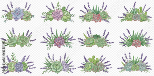 A collection of twelve decorative floral arrangements with colorful succulents and purple lavender sprigs on a transparent background.