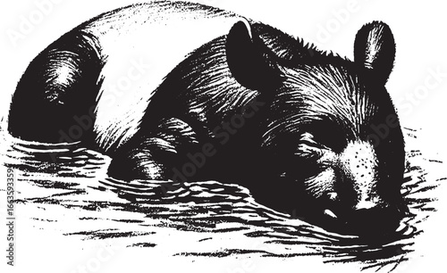 Black and white illustration of a tapir relaxing in the water, nature wildlife animal