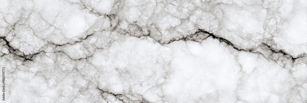 Obraz premium Detailed close-up view of white marble with veining