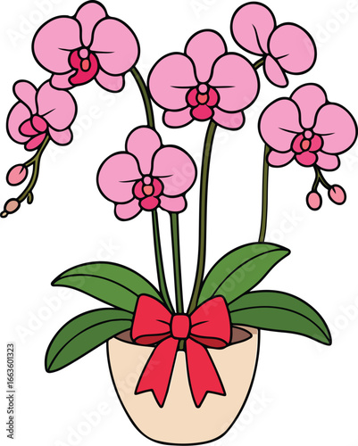 Wallpaper Mural Elegant phalaenopsis orchid vector, tropical flower illustration with soft petals and natural beauty Torontodigital.ca