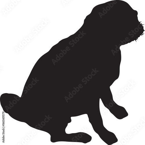 vector, isolated black silhouette of a dog sitting