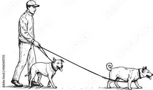 Hand Drawn Man Walking Two Dogs on Leashes in Black and White Il