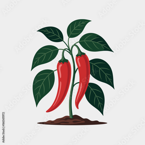 This image showcases a green chili plant with vibrant red peppers, capturing the essence of freshness and nature's bounty, perfect for culinary and gardening themes.