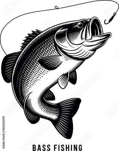 Striking Black and White Bass Fish Illustration Ready to Strike a Lure Depicting Sport Fishing Adventure in Detail