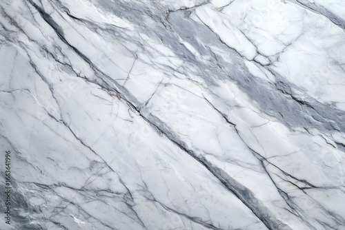 Bold veined white marble slab