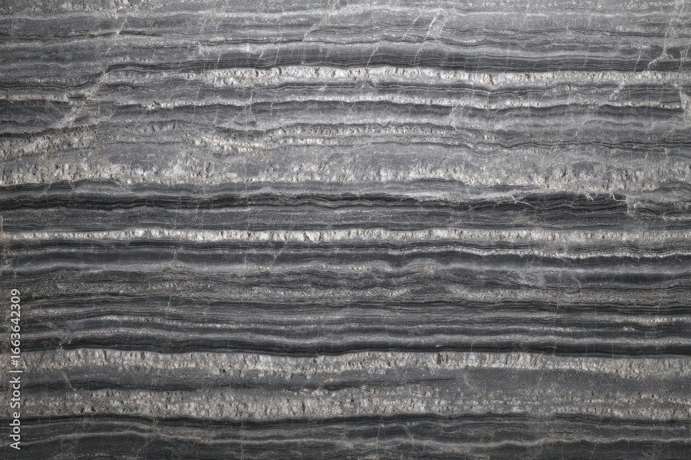 Obraz premium Charcoal marble linear veins