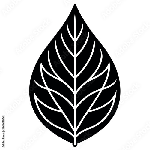 Elegant black leaf vector illustration with detailed veins and minimalist design ideal for botanical or eco themed projects
