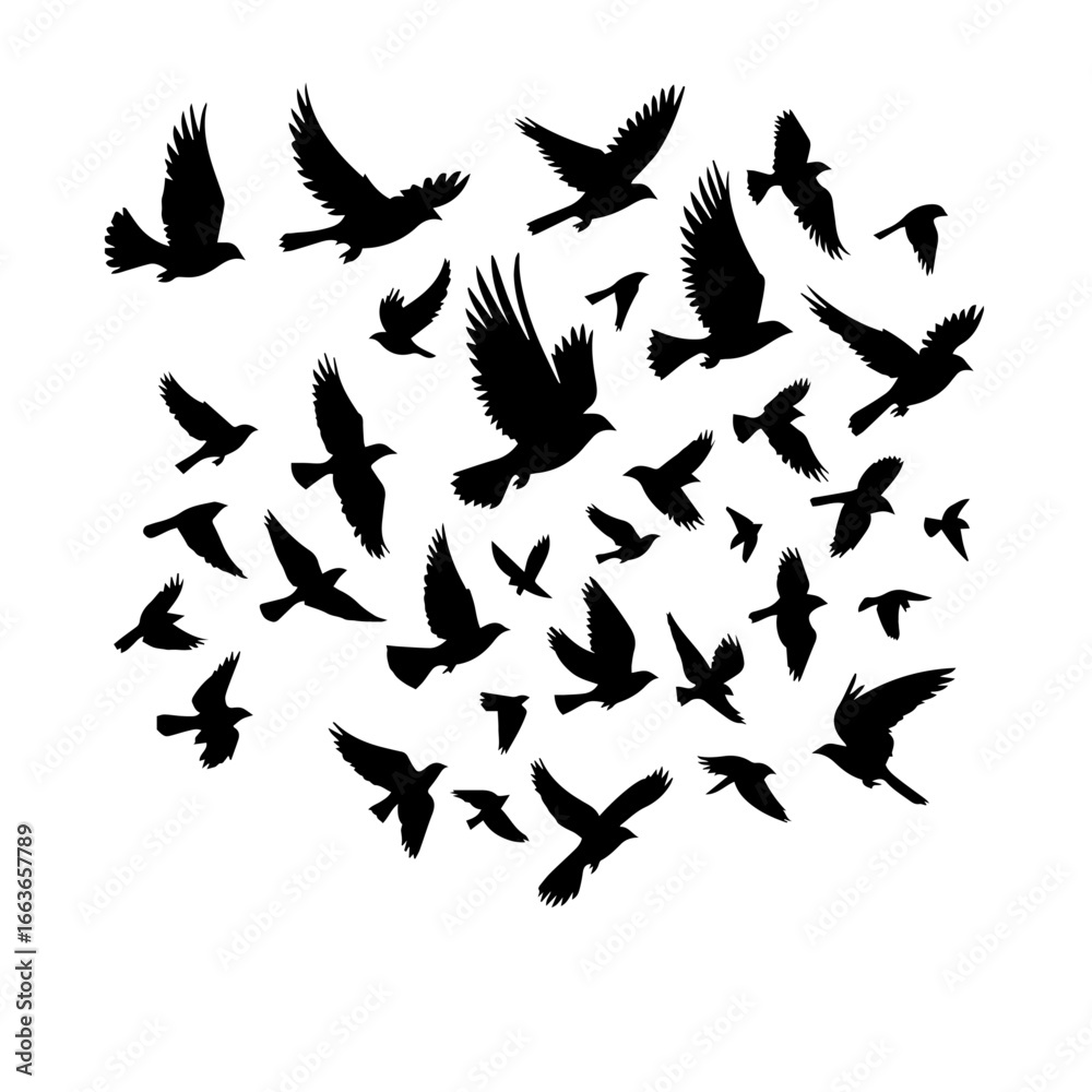 Obraz premium Black and white vector silhouette of Flock of Birds on white background