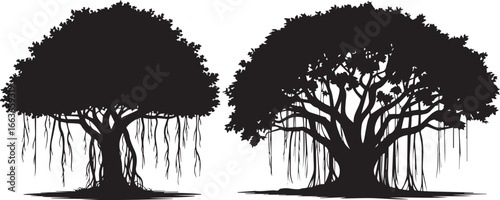 Fotografie Banyan tree silhouette vector illustration of tropical trees with hanging roots
