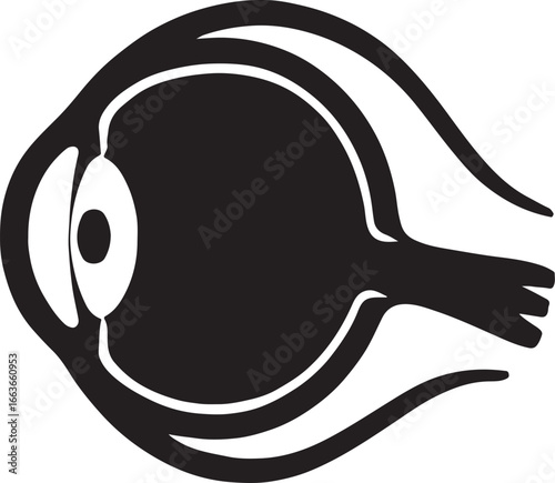 Silhouette of human eye anatomy, perfect for medical, educational, and scientific vector designs.