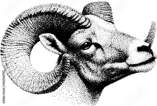 Stipple dotwork illustration of an aries ram head design for tattoos and art projects