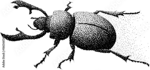 Intricate beetle design with stipple dotwork for artistic tattoo concepts