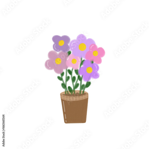 flowers in a pot